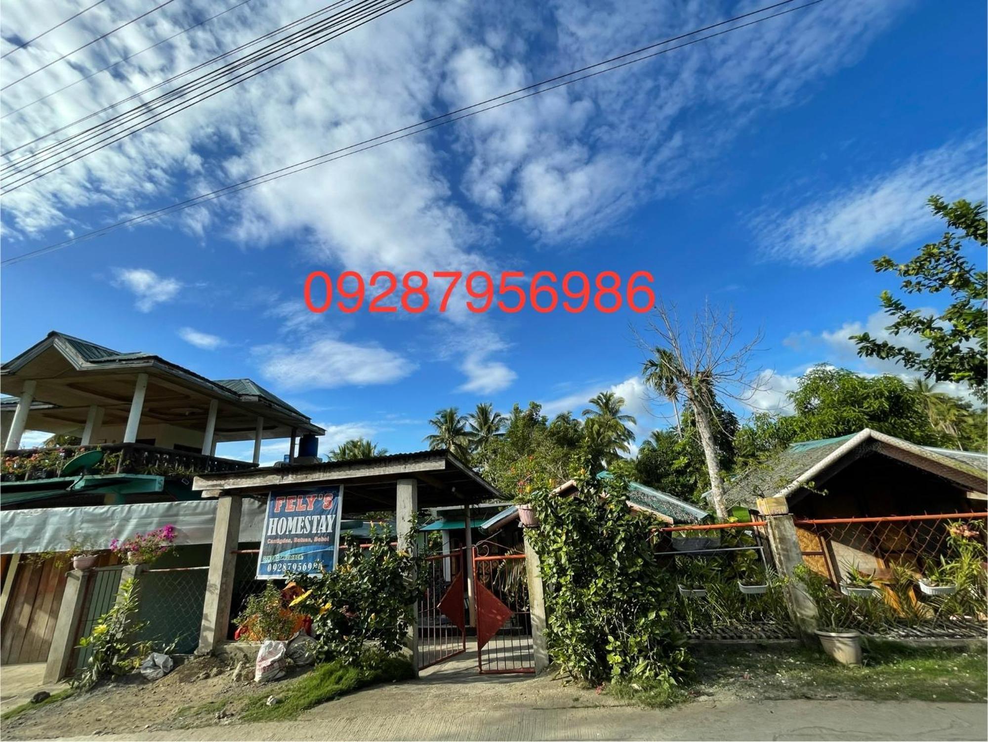 Fely'S Homestay Batuan Bagian luar foto